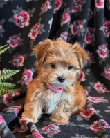 processed/0f5b73e2-4cdc-4620-9db4-62a8269dc5f7/listing/6ca4d256-f95a-4048-a0f2-592bdffb84a6/3e76189f-252f-4138-8f6e-a9175f51062b