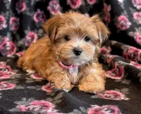 processed/0f5b73e2-4cdc-4620-9db4-62a8269dc5f7/listing/6ca4d256-f95a-4048-a0f2-592bdffb84a6/4ce46a16-b28c-4234-96e9-a72ca4c92b02