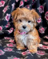 processed/0f5b73e2-4cdc-4620-9db4-62a8269dc5f7/listing/6ca4d256-f95a-4048-a0f2-592bdffb84a6/5b4975f2-b5b7-462d-99c5-42bb55de24c5