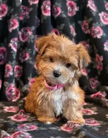 processed/0f5b73e2-4cdc-4620-9db4-62a8269dc5f7/listing/6ca4d256-f95a-4048-a0f2-592bdffb84a6/77b04d72-127a-425b-909c-a19ae8915a3f