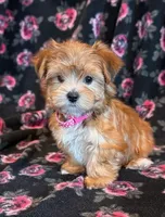 processed/0f5b73e2-4cdc-4620-9db4-62a8269dc5f7/listing/6ca4d256-f95a-4048-a0f2-592bdffb84a6/94c49a22-f1cb-486c-ad61-778c5bdadc10