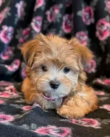 processed/0f5b73e2-4cdc-4620-9db4-62a8269dc5f7/listing/6ca4d256-f95a-4048-a0f2-592bdffb84a6/cb421701-08b4-479b-86b6-721a677bb695