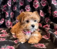 processed/0f5b73e2-4cdc-4620-9db4-62a8269dc5f7/listing/6ca4d256-f95a-4048-a0f2-592bdffb84a6/f064ddc2-f057-4029-b372-60f935970281