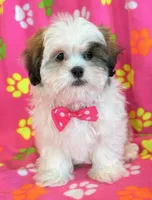 processed/0f5b73e2-4cdc-4620-9db4-62a8269dc5f7/listing/795cb1e6-1763-477c-9c86-a92bdfa7b86e/1dfeb51d-7432-4654-9f6f-ea7dc9a19a26