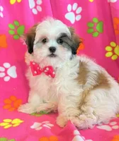 processed/0f5b73e2-4cdc-4620-9db4-62a8269dc5f7/listing/795cb1e6-1763-477c-9c86-a92bdfa7b86e/29b404ab-61ed-4599-9031-2b7e4425cf0a