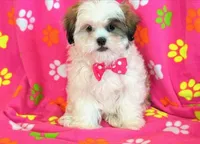 processed/0f5b73e2-4cdc-4620-9db4-62a8269dc5f7/listing/795cb1e6-1763-477c-9c86-a92bdfa7b86e/4d1a2e53-81d6-4210-abd4-2a781c37395d