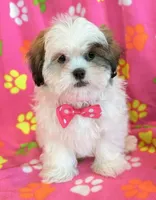 processed/0f5b73e2-4cdc-4620-9db4-62a8269dc5f7/listing/795cb1e6-1763-477c-9c86-a92bdfa7b86e/6194c504-7d17-47af-a668-e5b32df0a212