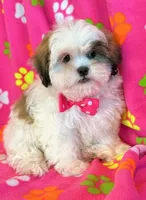 processed/0f5b73e2-4cdc-4620-9db4-62a8269dc5f7/listing/795cb1e6-1763-477c-9c86-a92bdfa7b86e/760fb990-2bd4-48c4-a18f-6fc52ddd6b9e