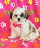 processed/0f5b73e2-4cdc-4620-9db4-62a8269dc5f7/listing/795cb1e6-1763-477c-9c86-a92bdfa7b86e/8cc469ef-8ff5-410c-975c-73d45fb255ce