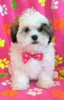 processed/0f5b73e2-4cdc-4620-9db4-62a8269dc5f7/listing/795cb1e6-1763-477c-9c86-a92bdfa7b86e/d724e58c-9f7b-428e-b12a-fc4a54463f5f