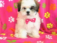 processed/0f5b73e2-4cdc-4620-9db4-62a8269dc5f7/listing/795cb1e6-1763-477c-9c86-a92bdfa7b86e/da22cda6-9124-43dc-b9e0-d9c14e28dfd5