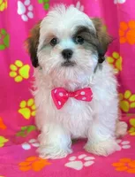 processed/0f5b73e2-4cdc-4620-9db4-62a8269dc5f7/listing/795cb1e6-1763-477c-9c86-a92bdfa7b86e/df8dcce4-57dd-478f-b0f5-543c44777213