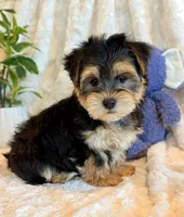 processed/0f5b73e2-4cdc-4620-9db4-62a8269dc5f7/listing/7cdc1868-1caa-4703-b18e-3cded89fdd8b/0e47ea0e-7c97-4835-baba-653e72dadfe4