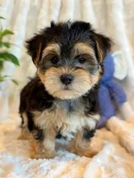 processed/0f5b73e2-4cdc-4620-9db4-62a8269dc5f7/listing/7cdc1868-1caa-4703-b18e-3cded89fdd8b/27e53cc7-a125-4ead-8494-79ba43817e4b