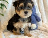 processed/0f5b73e2-4cdc-4620-9db4-62a8269dc5f7/listing/7cdc1868-1caa-4703-b18e-3cded89fdd8b/30ef8da9-848a-4540-843d-7f1a44be816b