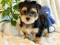 processed/0f5b73e2-4cdc-4620-9db4-62a8269dc5f7/listing/7cdc1868-1caa-4703-b18e-3cded89fdd8b/6b21f8a1-cc06-44e3-b0cc-07de684c514a