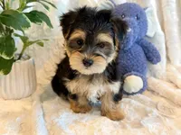 processed/0f5b73e2-4cdc-4620-9db4-62a8269dc5f7/listing/7cdc1868-1caa-4703-b18e-3cded89fdd8b/be95cd34-0eb3-44d5-9fc0-1c6864f63876