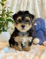 processed/0f5b73e2-4cdc-4620-9db4-62a8269dc5f7/listing/7cdc1868-1caa-4703-b18e-3cded89fdd8b/cd6b5e73-6210-4410-a88d-cbc3ff0bb559