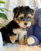 processed/0f5b73e2-4cdc-4620-9db4-62a8269dc5f7/listing/7cdc1868-1caa-4703-b18e-3cded89fdd8b/e39a44b3-9dfc-4b0d-95d2-34ec6ec1f050