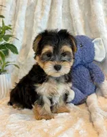 processed/0f5b73e2-4cdc-4620-9db4-62a8269dc5f7/listing/7cdc1868-1caa-4703-b18e-3cded89fdd8b/ed35793e-4992-4920-967e-ab980eda23e2