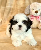 processed/0f5b73e2-4cdc-4620-9db4-62a8269dc5f7/listing/7f3047b9-a491-48e8-991c-7744c56a6715/0af9bf73-72d2-4ff6-b10d-1f82745df3b7