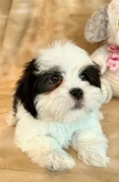 processed/0f5b73e2-4cdc-4620-9db4-62a8269dc5f7/listing/7f3047b9-a491-48e8-991c-7744c56a6715/2271fd43-5cfd-4428-bf20-91c112938db8