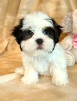 processed/0f5b73e2-4cdc-4620-9db4-62a8269dc5f7/listing/7f3047b9-a491-48e8-991c-7744c56a6715/35af9f92-de0a-4bbd-8fdc-8658469f12d2