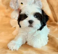 processed/0f5b73e2-4cdc-4620-9db4-62a8269dc5f7/listing/7f3047b9-a491-48e8-991c-7744c56a6715/5ddeb561-f0cf-4e9b-8b59-f72cd98a3751