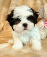 processed/0f5b73e2-4cdc-4620-9db4-62a8269dc5f7/listing/7f3047b9-a491-48e8-991c-7744c56a6715/a199b1ef-dbc4-47ef-8cb0-fe8285795723