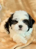 processed/0f5b73e2-4cdc-4620-9db4-62a8269dc5f7/listing/7f3047b9-a491-48e8-991c-7744c56a6715/b2d43dd8-cfe5-4b53-84f2-2360f7a86bd7