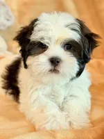 processed/0f5b73e2-4cdc-4620-9db4-62a8269dc5f7/listing/7f3047b9-a491-48e8-991c-7744c56a6715/f92b5b75-79e2-47a5-a81c-d8f21bb341d4