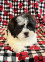 processed/0f5b73e2-4cdc-4620-9db4-62a8269dc5f7/listing/80a05d92-bc70-4850-8d12-3b3b5e675691/0927ba95-8ab2-484d-b216-711ab5229e2f