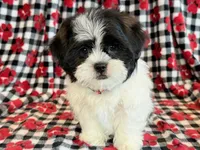 processed/0f5b73e2-4cdc-4620-9db4-62a8269dc5f7/listing/80a05d92-bc70-4850-8d12-3b3b5e675691/17c9be9f-3243-4770-9e26-bf6828551e41