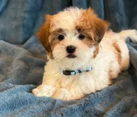 processed/0f5b73e2-4cdc-4620-9db4-62a8269dc5f7/listing/80a05d92-bc70-4850-8d12-3b3b5e675691/31c6438a-9b90-4e71-a927-5fc9e28c1ba1