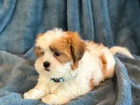 processed/0f5b73e2-4cdc-4620-9db4-62a8269dc5f7/listing/80a05d92-bc70-4850-8d12-3b3b5e675691/39e5cba2-ee38-42cd-ac97-35642a468a27