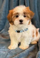 processed/0f5b73e2-4cdc-4620-9db4-62a8269dc5f7/listing/80a05d92-bc70-4850-8d12-3b3b5e675691/6e7e7971-ac9e-49dd-991e-c832ae7a5685