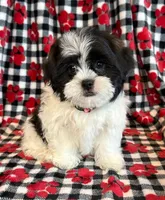 processed/0f5b73e2-4cdc-4620-9db4-62a8269dc5f7/listing/80a05d92-bc70-4850-8d12-3b3b5e675691/717fcd80-9c4b-48e8-b293-634d763f2ae9