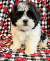 processed/0f5b73e2-4cdc-4620-9db4-62a8269dc5f7/listing/80a05d92-bc70-4850-8d12-3b3b5e675691/ab387ca9-d4bd-4c72-9d0e-65e970d286ac