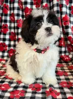 processed/0f5b73e2-4cdc-4620-9db4-62a8269dc5f7/listing/80a05d92-bc70-4850-8d12-3b3b5e675691/abe3751b-54e3-4ab2-9650-6133585ef8e0