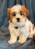 processed/0f5b73e2-4cdc-4620-9db4-62a8269dc5f7/listing/80a05d92-bc70-4850-8d12-3b3b5e675691/c1bd6d9f-c66c-4352-9ba2-895df2786e57