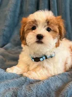 processed/0f5b73e2-4cdc-4620-9db4-62a8269dc5f7/listing/80a05d92-bc70-4850-8d12-3b3b5e675691/d21ea6c0-d77c-474f-b07e-54f8575f430a