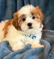 processed/0f5b73e2-4cdc-4620-9db4-62a8269dc5f7/listing/80a05d92-bc70-4850-8d12-3b3b5e675691/e8c07acf-3d52-4756-9df5-85fef823c4cd