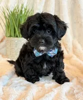 processed/0f5b73e2-4cdc-4620-9db4-62a8269dc5f7/listing/c6be0e9b-a22f-4189-8d1f-7780a5d0ef0a/0885913f-415b-4e0c-89f4-aedf9e348635