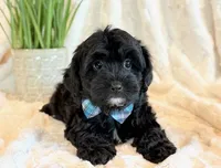 processed/0f5b73e2-4cdc-4620-9db4-62a8269dc5f7/listing/c6be0e9b-a22f-4189-8d1f-7780a5d0ef0a/13c5f51e-9218-444b-9a2b-79484f3d0db2