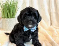 processed/0f5b73e2-4cdc-4620-9db4-62a8269dc5f7/listing/c6be0e9b-a22f-4189-8d1f-7780a5d0ef0a/3cab88aa-1b25-4030-9374-74b4cb29b47e