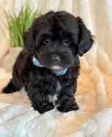 processed/0f5b73e2-4cdc-4620-9db4-62a8269dc5f7/listing/c6be0e9b-a22f-4189-8d1f-7780a5d0ef0a/8abd9da6-8afe-4cb4-9895-2d8ed0993654