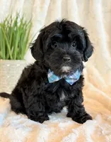 processed/0f5b73e2-4cdc-4620-9db4-62a8269dc5f7/listing/c6be0e9b-a22f-4189-8d1f-7780a5d0ef0a/9ed96d59-cf63-4b47-aa6e-111d40e82433