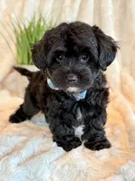 processed/0f5b73e2-4cdc-4620-9db4-62a8269dc5f7/listing/c6be0e9b-a22f-4189-8d1f-7780a5d0ef0a/d4a2d996-2171-45c9-8837-c4ba325e6e4f