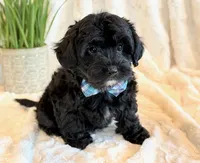 processed/0f5b73e2-4cdc-4620-9db4-62a8269dc5f7/listing/c6be0e9b-a22f-4189-8d1f-7780a5d0ef0a/df9118ae-32dd-46f0-b76c-0c47c4844799