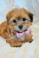 processed/0f5b73e2-4cdc-4620-9db4-62a8269dc5f7/listing/dbfccec6-4406-47f6-a142-b3b63ee56c4e/103663db-c625-4671-bbbd-08c0541c4f4f